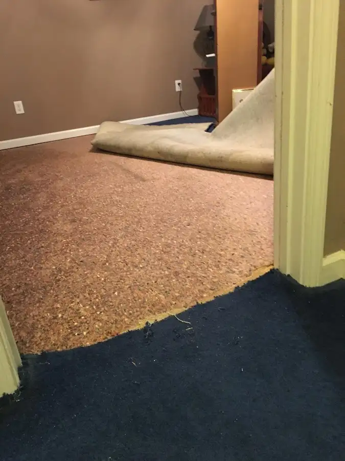 Carpet pad removal revealing water damage during Drying & Dehumidification in Surfside