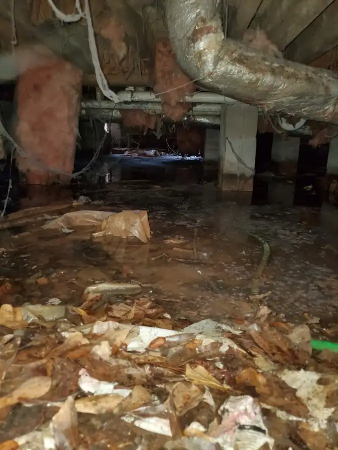 Crawl space flood assessment for Leak Detection & Repair in Surfside